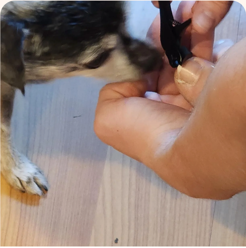 Review image